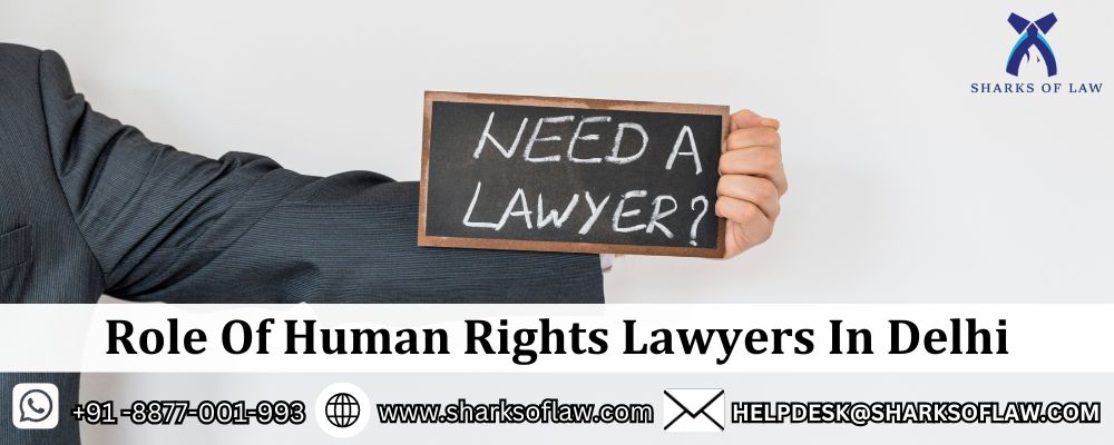 Role Of Human Rights Lawyers In Delhi