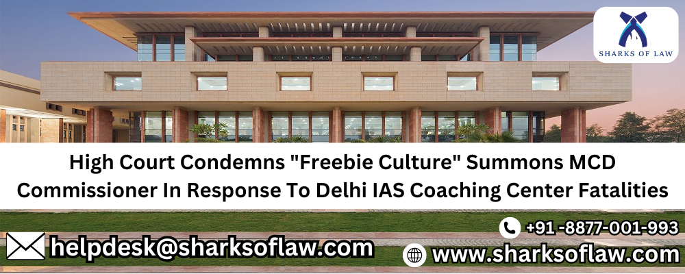 High Court Condemns "Freebie Culture," Summons MCD Commissioner In Response To Delhi IAS Coaching Center Fatalities 91-8877001993