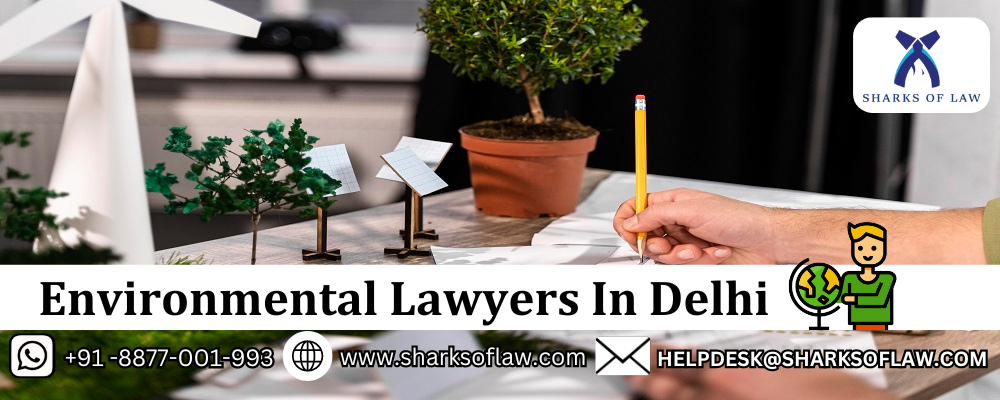 Environmental Lawyers In Delhi