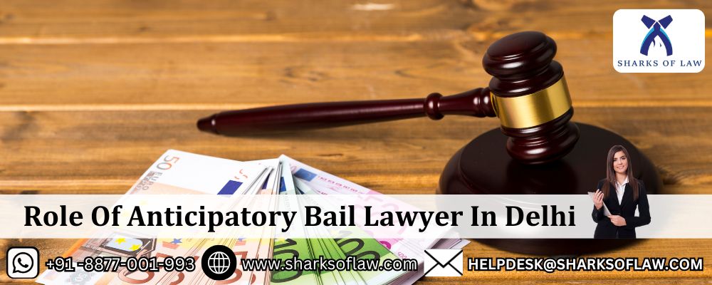 Role Of Anticipatory Bail Lawyer In Delhi